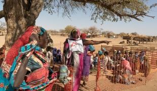 Une clinique mobile MSF installée dans le camp de Daguéssa. Des femmes accompagnées de leurs enfants attendent de recevoir une consultation médicale dans la zone de triage.