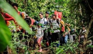 De janvier à Novembre 2023, près d'un demi million de migrants ont traversé la jungle du Darien, entre la Colombie et le Panama. 