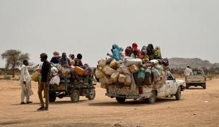 populations déplacées à Tawila