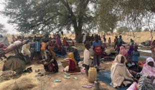 New displacement from Zamzam
