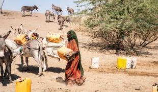 Au-delà des routes : l’acheminement d’eau et de nourriture dans les régions reculées d’Éthiopie