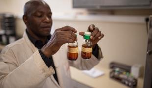 Dans un hôpital de Bangui (RCA), un responsable de laboratoire analyse des échantillons prélevés sur les patients afin de détecter la présence de bactéries résistantes.