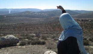 Um Fawaz montre à Wissam le champ d’oliviers en contrebas du village.