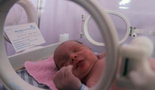Zain Al Abidine premier bébé qui a été examiné dans l’unité de néonatalogie de la maternité MSF à Irbid en Jordanie  novembre 2013.