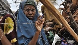 Réfugiés somaliens dans le camp de Dadaab au Kenya. Lynsey Addario/VII