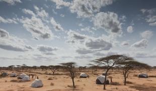 Le camp de réfugiés de Dadaab au Kenya en juillet 2011