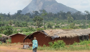 Clinique mobile à Cib dans l'Ouest de la Côte d'Ivoire.