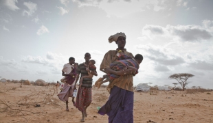 Des réfugiés somaliens continuent d'arriver chaque jour dans le camp surpeuplé de Dadaab dans le nord du Kenya. Ils fuient la violence du conflit en Somalie les effets dévastateurs de la sécheresse et le manque de nourriture. Médecins Sans Frontièr