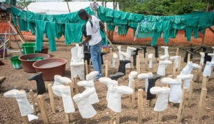 Kailahun Sierra Leone juillet 2014