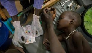 Préparation d'une transfusion sanguine pour un enfant atteint de paludisme. Sud Soudan novembre 2015.