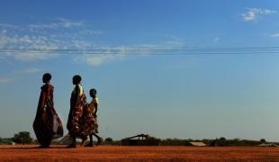 Le long d'une route près d'Abyei au Sud Soudan  Novembre 2010