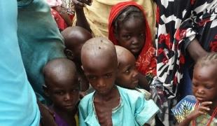 La malnutrition frappe les déplacés de Bama. MSF