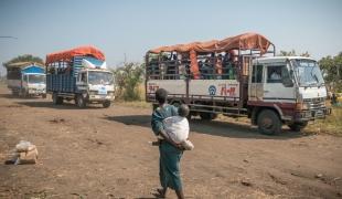 Les réfugiés arrivent dans leur campement tôt dans la matinée et ont moins d’un jour pour s’installer. Ils sont assistés par les autorités et les organisations humanitaires internationales.