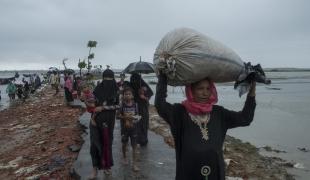 Plus de 422 000 Rohingya ont fui les violences dans l'Etat de Rakhine au Myanmar et se sont réfugiés au Bangladesh
