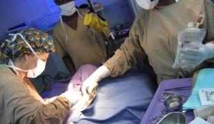 Article Nigeria plan de préparation urgences violences électorales mars 2015 chirurgie Port Harcourt