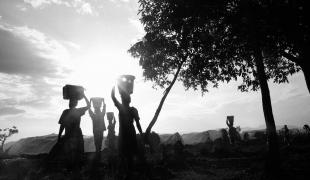 Populations fuyant les combats dans le Nord Kivu. Marcus Bleasdale
