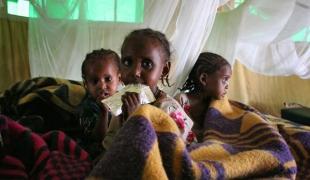 Ethiopie juillet 2008. MSF a lancé des programmes nutritionnels dans plusieurs districts de la région Oromo après que des évaluations aient révélé des taux alarmants de malnutrition chez les enfants.