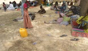 Déplacés sous les arbres camp de FTC Maiduguri mars 2015