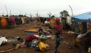 Sido Tchad  Site de regroupement de réfugiés centrafricains après la première pluie.