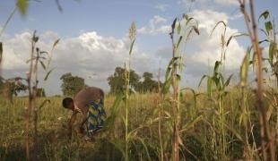 Malnutrittion au Burkina