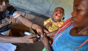 Campagne de vaccination de MSF à Bangassou en République centrafricaine en octobre dernier.