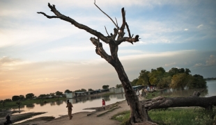 Après les violences qui ont éclaté dans le nord de l’État du Jonglei au Soudan du Sud le 11 janvier MSF a référé par avion 13 patients grièvement blessés de la clinique MSF de Yuai.