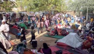 Le camp de transit de Chagoua à N'Djamena au Tchad accueille plus de 1470 personnes ayant fui la RCA  février 2014.