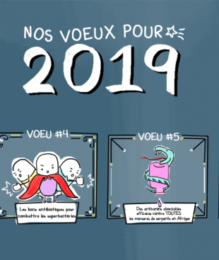 Voeu 2019