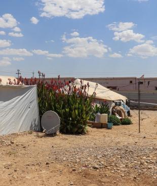 Le camp de personnes déplacées de Laylan, dans le gouvernorat de Kirkouk, en Irak, juillet 2020.