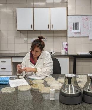Nada Malou de la Fondation MSF à Amman en Jordanie durant l’évaluation clinique de l’application.
