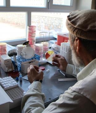 Laboratoire de microbiologie Afghanistan
