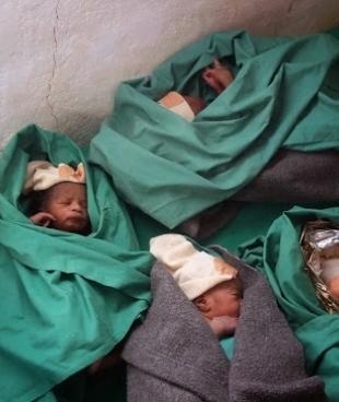 Les quadruplés de Taghry nés par césarienne à l'hôpital MSF de Bassikounou en Mauritanie.