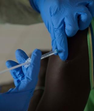 Vaccin Ebola bientôt une réalité
