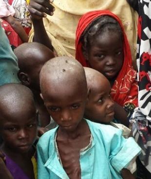 La malnutrition frappe les déplacés de Bama. MSF