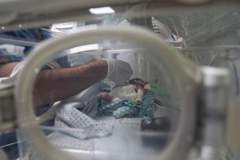 The man made malnutrition in Gaza