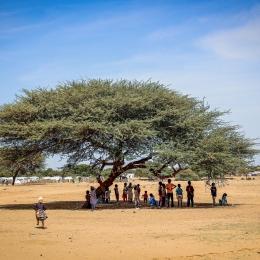 Des réfugiés soudanais de la ville d'El Fasher, Tchad décembre 2025