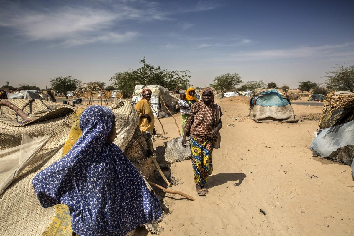 Niger : assistance aux déplacés et réfugiés dans la région de Diffa ...