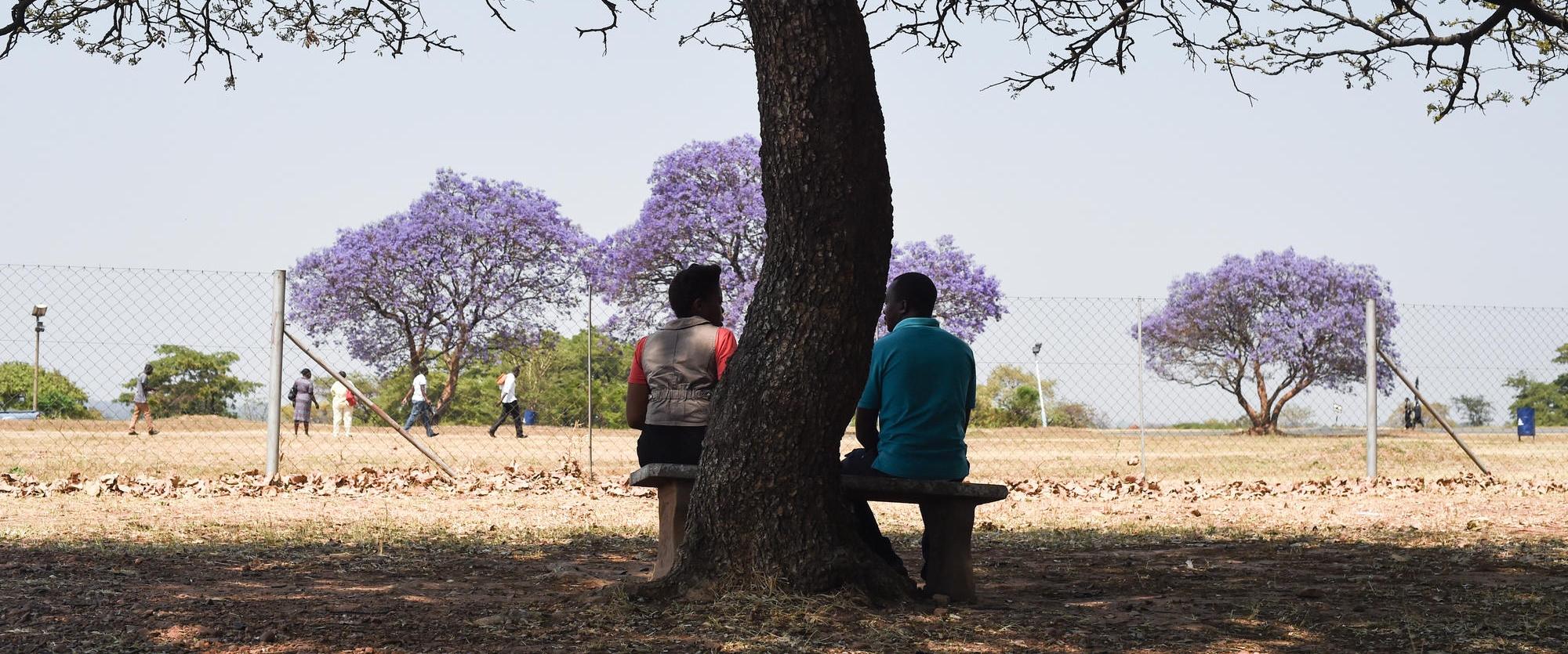 Séance de conseil dans la cour de l'unité psychiatrique. À l'hôpital psychiatrique de Harare, au Zimbabwe, l'équipe fournit des traitements et des soins aux patients atteints de maladie mentale. L'équipe offre également un soutien psychologique aux patients, aux parents et aux autres membres de la famille.