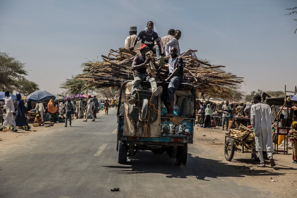 De nombreuses personnes ont trouvé refuge de part et d’autre de la route nationale numéro 1 qui traverse la région de Diffa. © Juan Carlos Tomasi/MSF