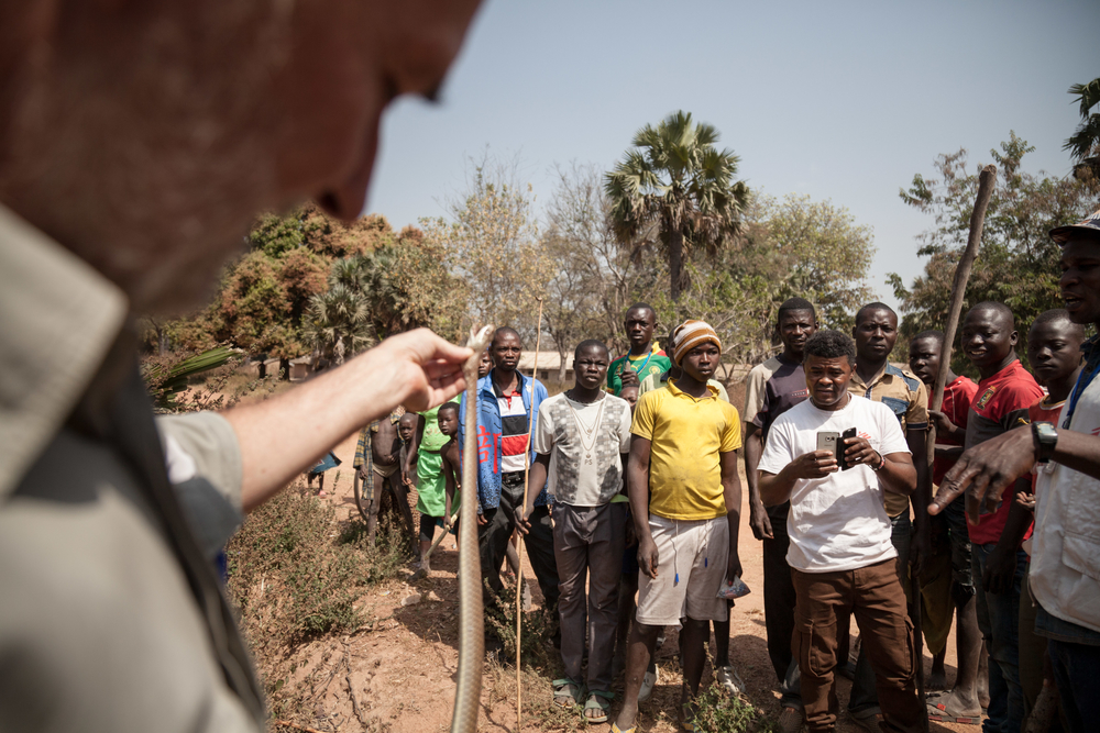 Jean Opsital, coordinateur de projet MSF à Paoua, explique à des villageois venant de tuer un serpent comment éviter de se blesser en le manipulant. © Alexis Huguet 2017