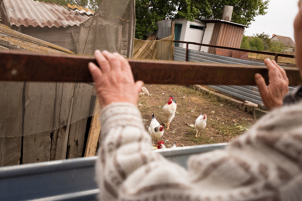 Au quotidien, Taisiya s'occupe de sa maison, de son jardin et de ses poules « pour tenir ». Ukraine, septembre 2016 © Maurice Ressel 