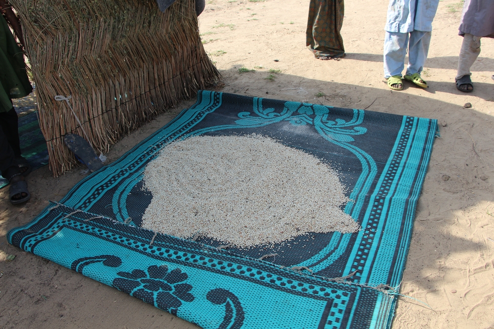 Les réserves de nourriture de Marne Idrisa © MSF