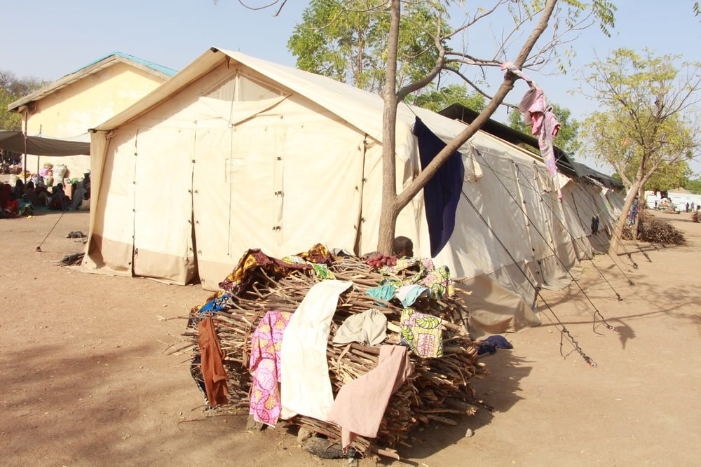 Le bois de chauffage, bien qu'essentiel, reste hors de prix pour de nombreuses familles. © Malik Samuel/MSF